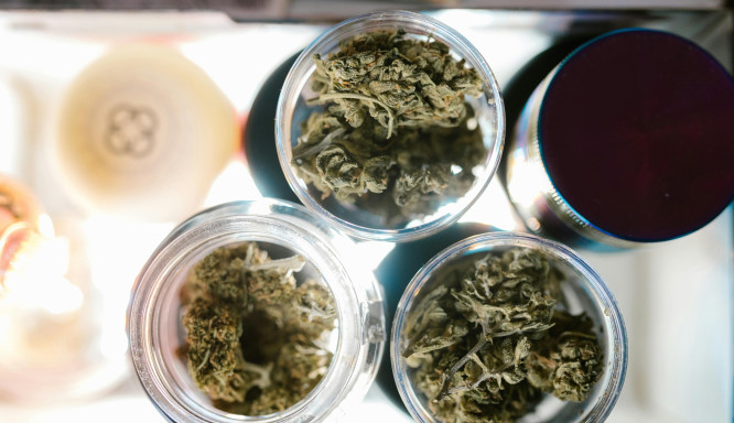 Die Versorgung mit medizinischem Cannabis in Deutschland: Regeln und sichere Wege zur Therapie