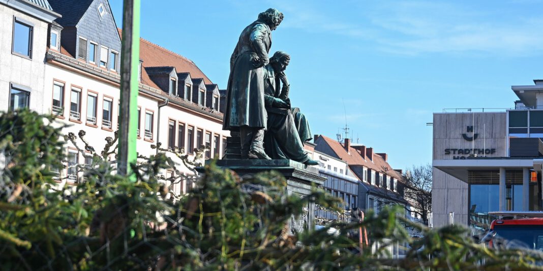 Hanau holt Weihnachtsbäume vom 12. bis 16. Januar ab: Regeln, Termine und Alternativen