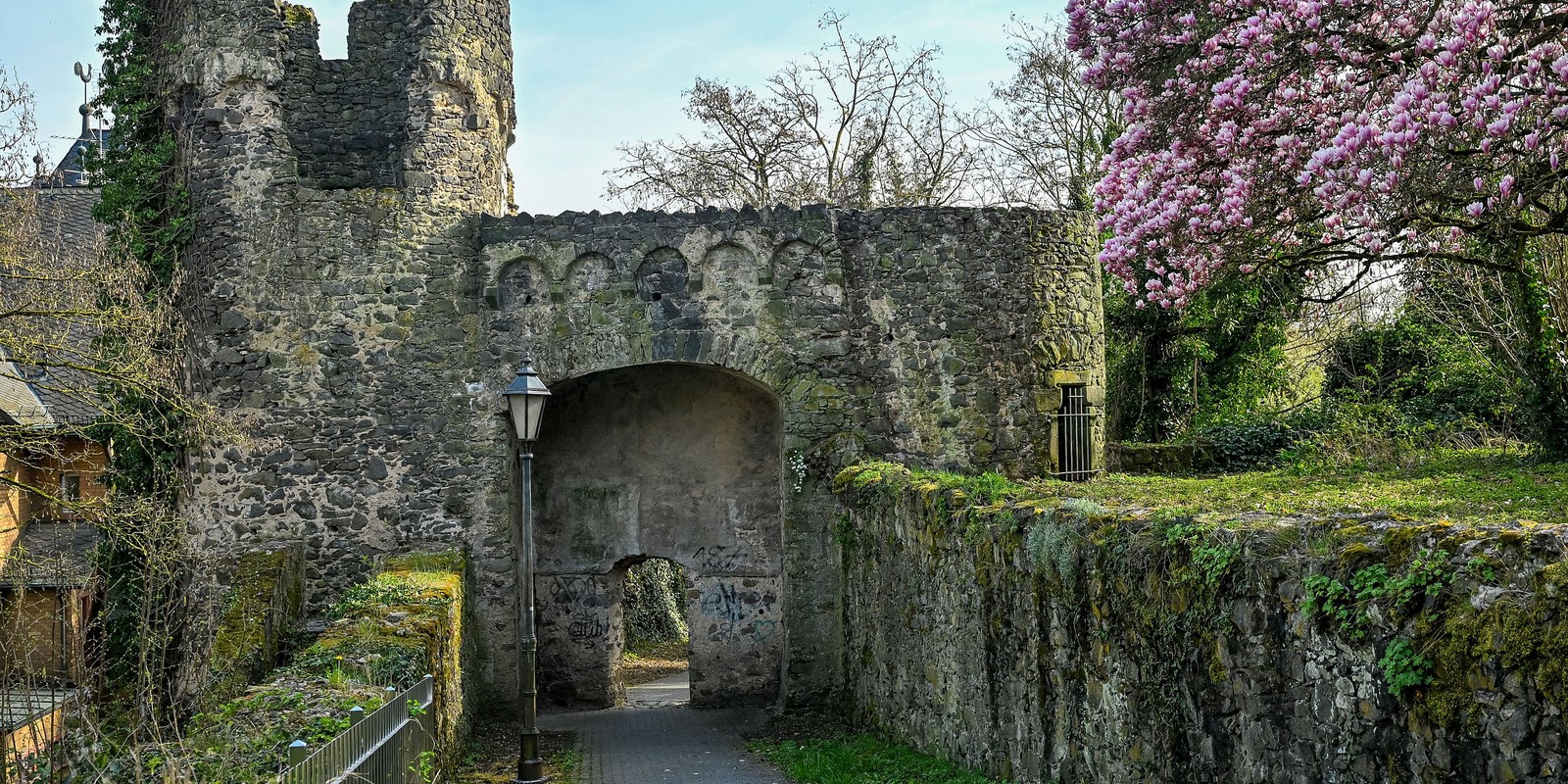 Sanierung der Steinheimer Stadtmauer macht nach erster Schadenskartierung Fortschritte
