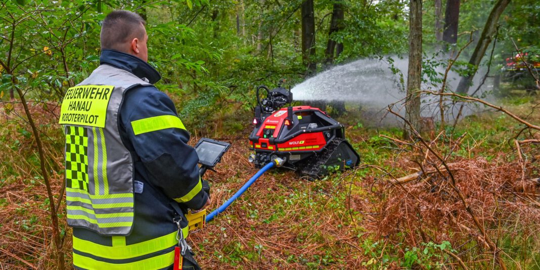 Waldbrand bei Hanau vernichtet rund 2,5 Hektar Wald und verschärft Grillverbote